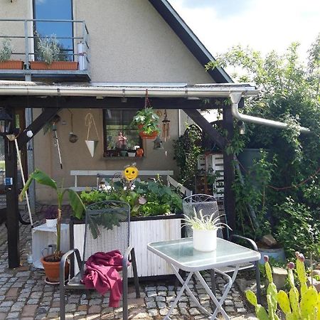 Ferienwohnung Auf Dem Land Rochlitz Kültér fotó
