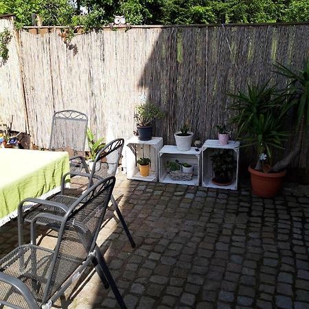 Ferienwohnung Auf Dem Land Rochlitz Kültér fotó