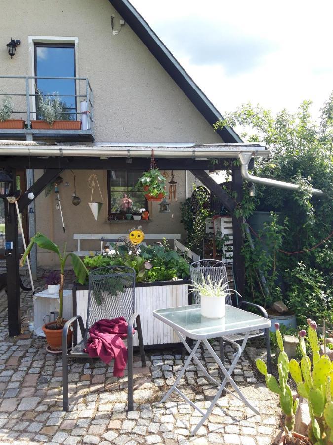 Ferienwohnung Auf Dem Land Rochlitz Kültér fotó