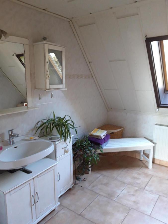 Ferienwohnung Auf Dem Land Rochlitz Kültér fotó