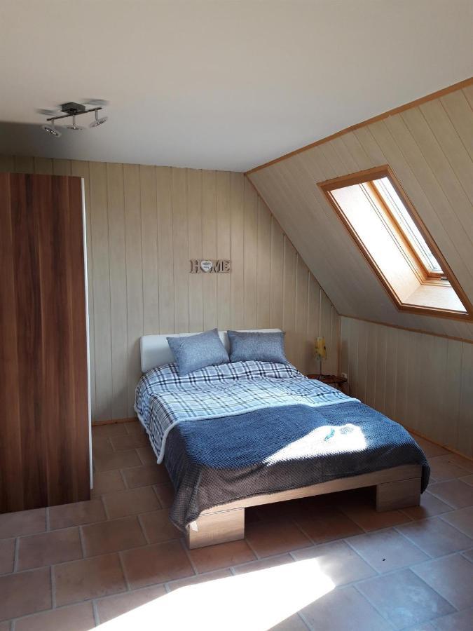 Ferienwohnung Auf Dem Land Rochlitz Kültér fotó